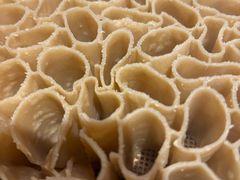 -粥六•新晋菜(柳巷店)