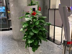 大堂-姜虎东白丁烤肉(苏州中心店)
