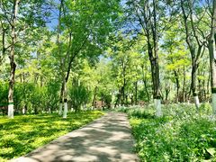 -大兴滨河森林公园