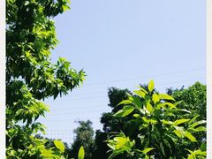 -东部华侨城