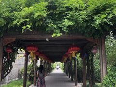 -有喜胶东小馆(超极合生汇太申祥和店)