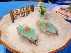 -千岛蚝高压锅生蚝·人参火锅(白云万达店)