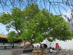 -同里国家湿地公园