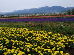 -富田农场