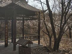 -樱桃沟景区