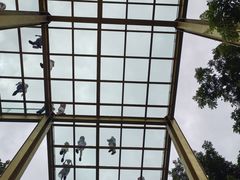 -西双版纳总佛寺