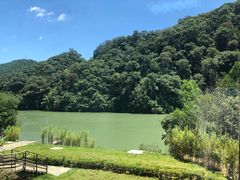 -武夷山德懋堂度假村·五观堂餐厅