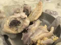 -金记猪肚鸡(琅西店)