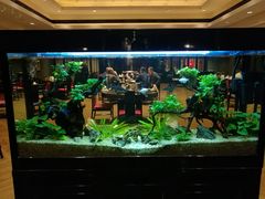 -海天楼中餐厅(吴宫泛太平洋酒店)