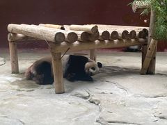 -杭州野生动物世界