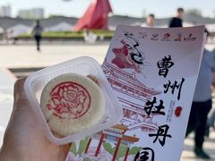 -曹州牡丹园