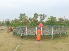 -上海长兴岛郊野公园