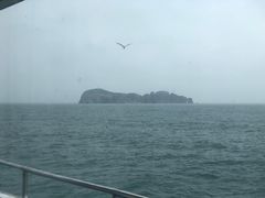 -海驴岛(荣成市)