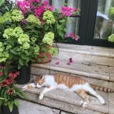 超出片的闺蜜下午茶地点👯♀️—Cooperland多事之丘