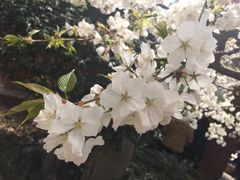 -御花园·粤菜·海鲜火锅(中山公园店)