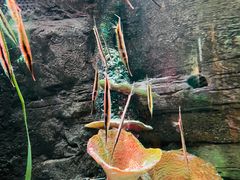 -沈阳海洋探索中心