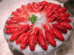 冰镇小龙虾-沪小胖小龙虾(淮海中路旗舰店)