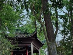 -岳麓山风景名胜区