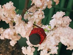 -御池园(顾村公园店)