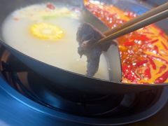 -阳阳老火锅(小南门店)