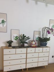 -蜗艾蜗家美容养生艾灸馆