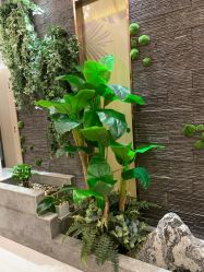 -芳朵美容养生SPA