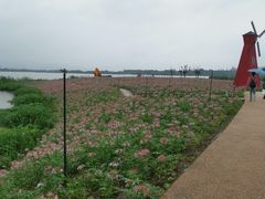 -下渚湖国家湿地公园科普馆