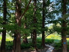 -国家植物园南园