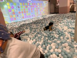 -奈尔宝·儿童乐园·亲子餐厅(鄞州万达店)