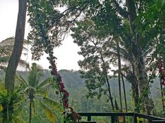 -金巴兰海滩烛光bbq