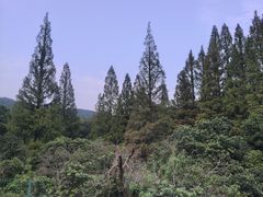 -虞山风景区