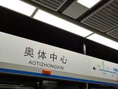 -奥体中心(地铁站)