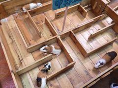 -正佳雨林生态植物园