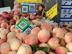 -金宝生活市场(东五环店)