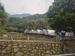 -南丹山森林王国