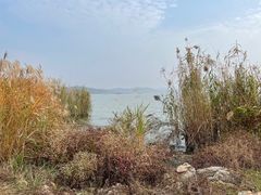 -上海市保健医疗中心