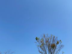 -白石龙音乐公园