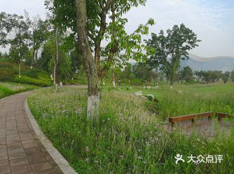 成都旅游攻略|环球中心旁的桂溪生态公园非常不错