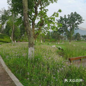 成都旅游攻略|环球中心旁的桂溪生态公园非常不错