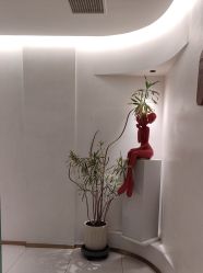 -WENDY·温迪皮肤管理