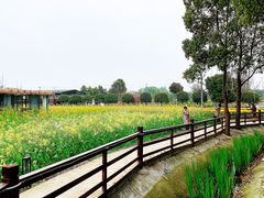 -洪湖家庭农场·团建·露营·会议