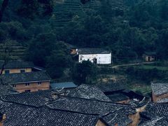 -杨家堂村