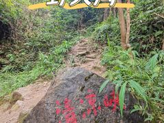 -南山植物园