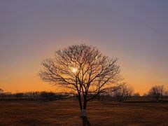 -汉长安城未央宫国家考古遗址公园