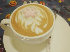 -猫色咖啡·猫咖
