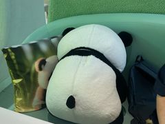 -眉州东坡·熊猫主题餐厅(枫蓝店)