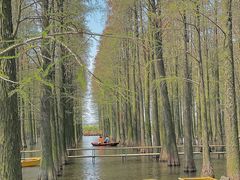 -渌洋湖湿地公园