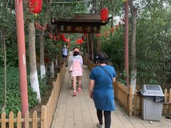 -草根堂农场