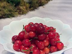 -运·中餐厅(成都华尔道夫酒店)