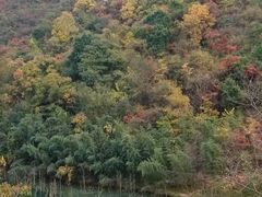-郧西五龙河风景区